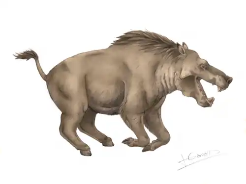 Entelodon magnus, реконструкция