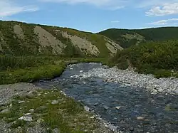 Среднее течение