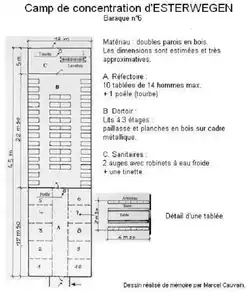 План блока № 6 концентрационного лагеря Эстервеген