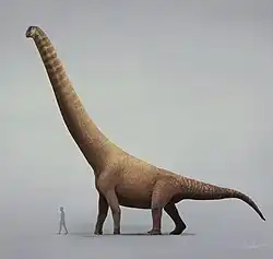 Europatitan1 июня 2025 года