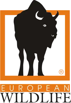 Изображение логотипа