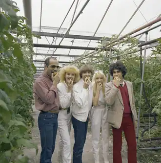 Мартин Аве в группе Profil(вторая справа)