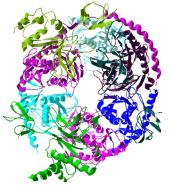 Экзосома (комплекс)22 июля 2015
