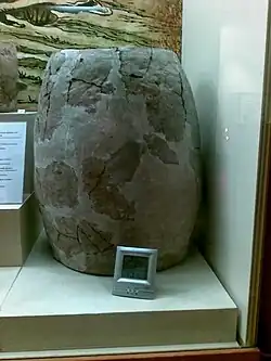 Глиняный кувшин