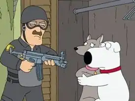 Брайан и Сибриз найдены