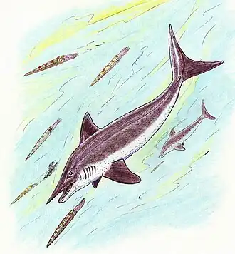 Fadenia crenulata — пермь Гренландии