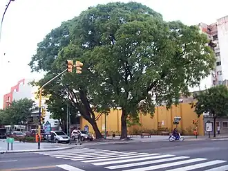 Пересечение с улицей Кордоба