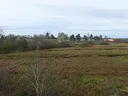 Вид на Федорково с автодороги Старая Русса—Парфино