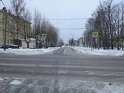 Вид от Полюстровского проспекта