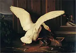 Гусь, дерущийся с уткой