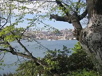 Вид на Босфор