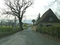 Фишус-Рьюмейу