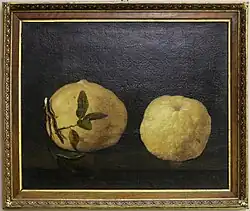 Два лимона. Музей естественной истории, Флоренция