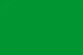 Флаг династии Зиридов (973—1146)