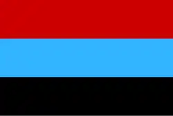 Один из флагов, применявшихся на митингах (Флаг «Интердвижения» с пропорцией 2∶3)