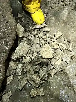 Дно, покрытое щебнем