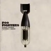 Обложка альбома Foo Fighters «Echoes, Silence, Patience & Grace» (2007)