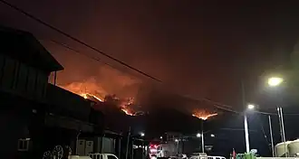 Лесные пожары в Республике Корея (2025)