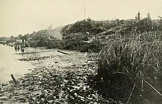 Бруствер форта Макаллистер