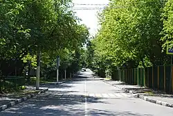 Улица Фотиевой (вид от площади Академика Тамма в сторону Университетского проспекта)