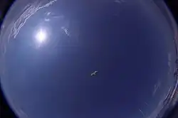 Весь небосвод