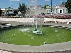 Фонтан-лягушка в парке