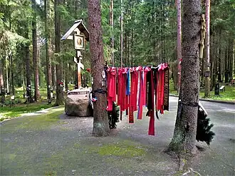 Ленты на деревьях