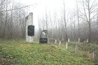 Памятник евреям Городка,убитым нацистами в Березовке