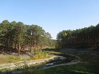 Речка Войновка в Гилёвской роще