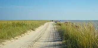 Глафировская коса.