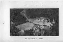 Натюрморт с рыбой