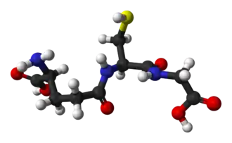 Изображение молекулярной модели