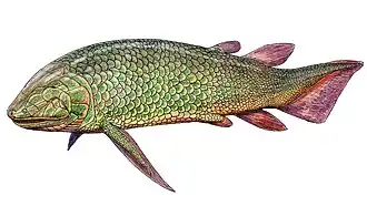 Реконструкция Glyptolepis sp.