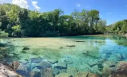 Низовье реки около Нарни