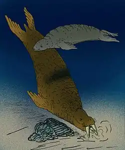 Gomphotaria pugnax, реконструкция