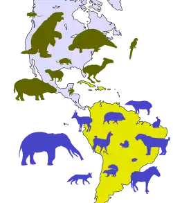 Fauna that participated in the Great American Interchange.