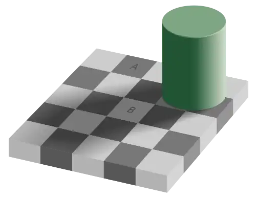 Параллелограммы А и В — одинакового цвета