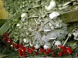 Человеческие останки. Массовое захоронение рядом с комплексом