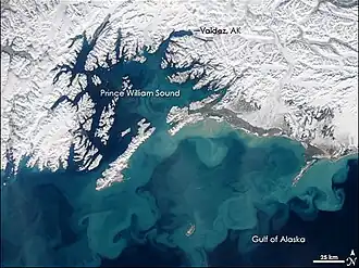 Вид на залив Аляска из космоса