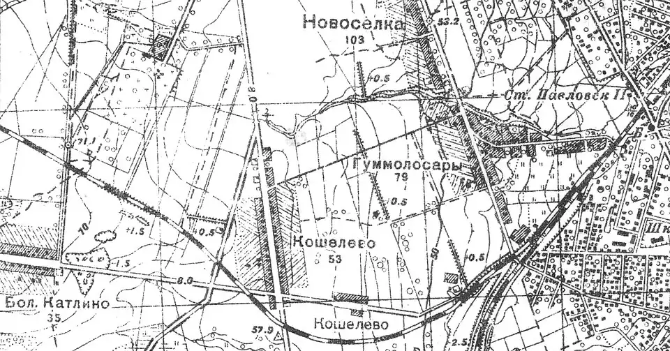 Деревня Гуммолосары на карте 1939 года
