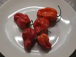 Красные хабанеро на тарелке, купленные в продуктовом магазине