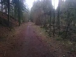 Железнодорожный маршрут Хаммель в Мёллесковене, 2012.