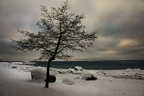 Берег моря зимой