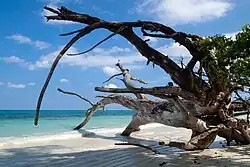 Пляж, Остров Хэвлок