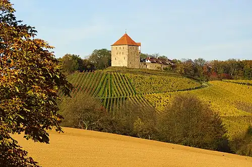 Поля и виноградники вокруг замка