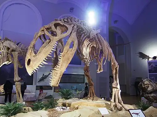 Скелеты динозавров