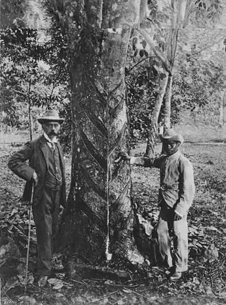 Ридли (слева), 1900 год.