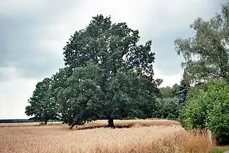 Hermsdorfer Landschaft