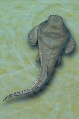 Heterosteus ingens (реконструкция)