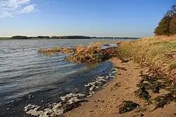 Нижнее течение реки осенью 2009 года.